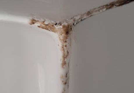 If your shower silicone is discoloured and old it will probrably...